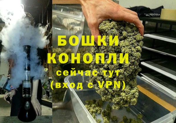 бошки Белокуриха